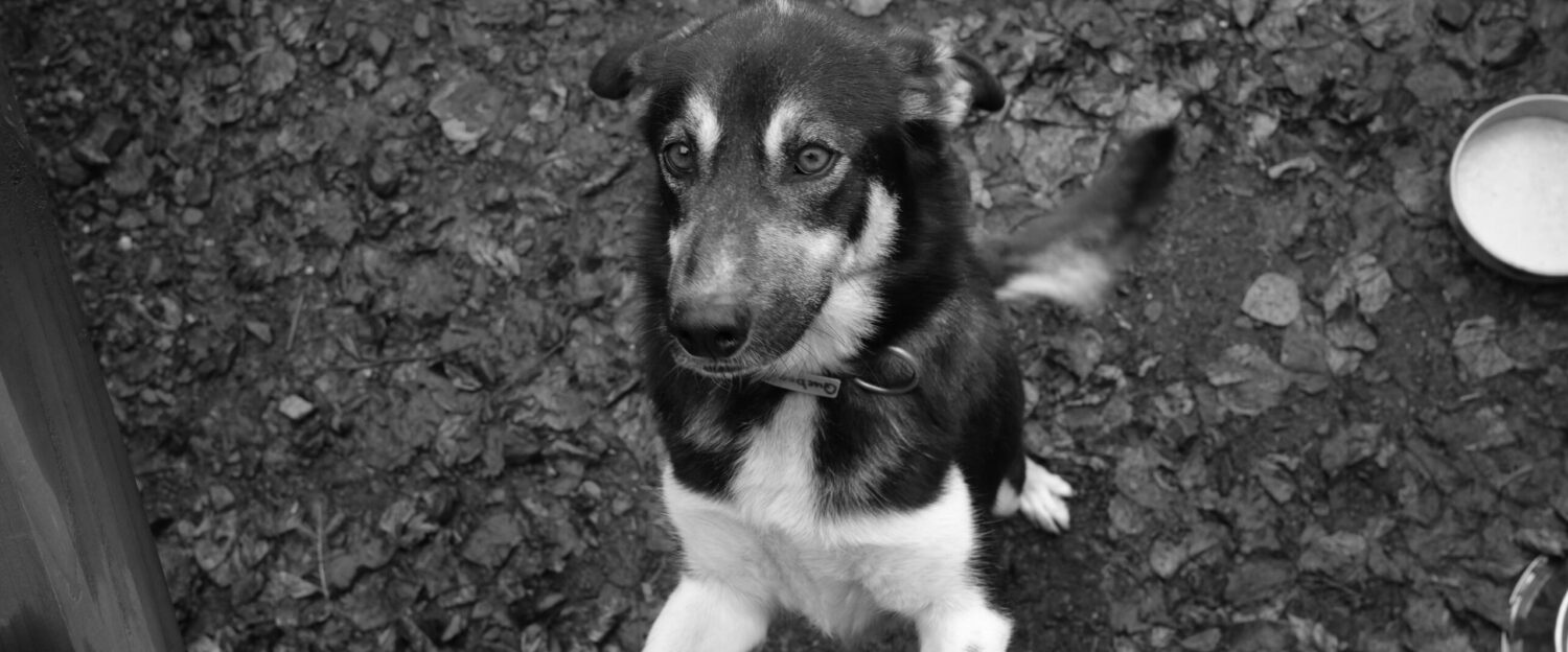 Calvin W. Photography